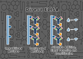 Direct ELISA