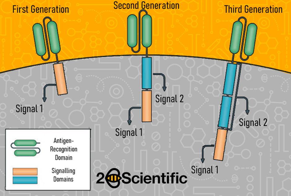 Cell-and-Gene-Therapy-Diagram