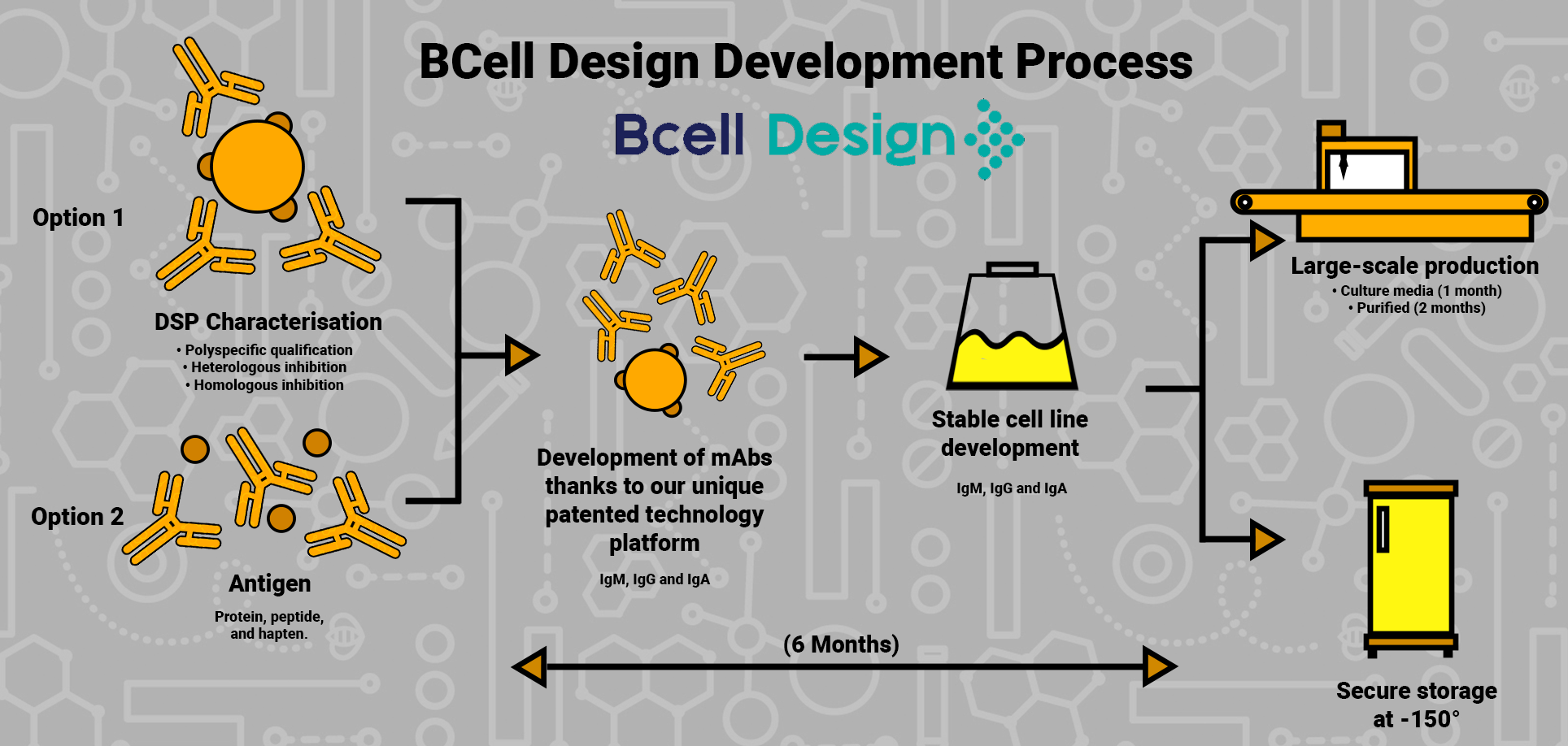 Bcell Design Development Process