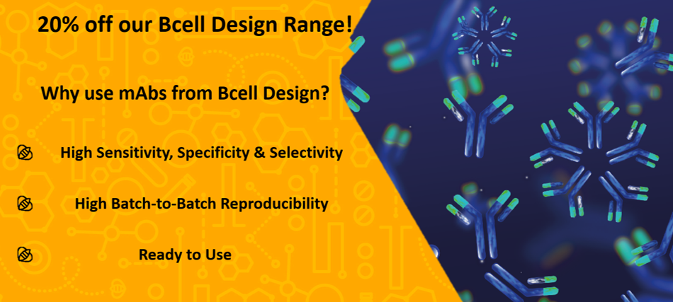 20% off Bcell Design Products