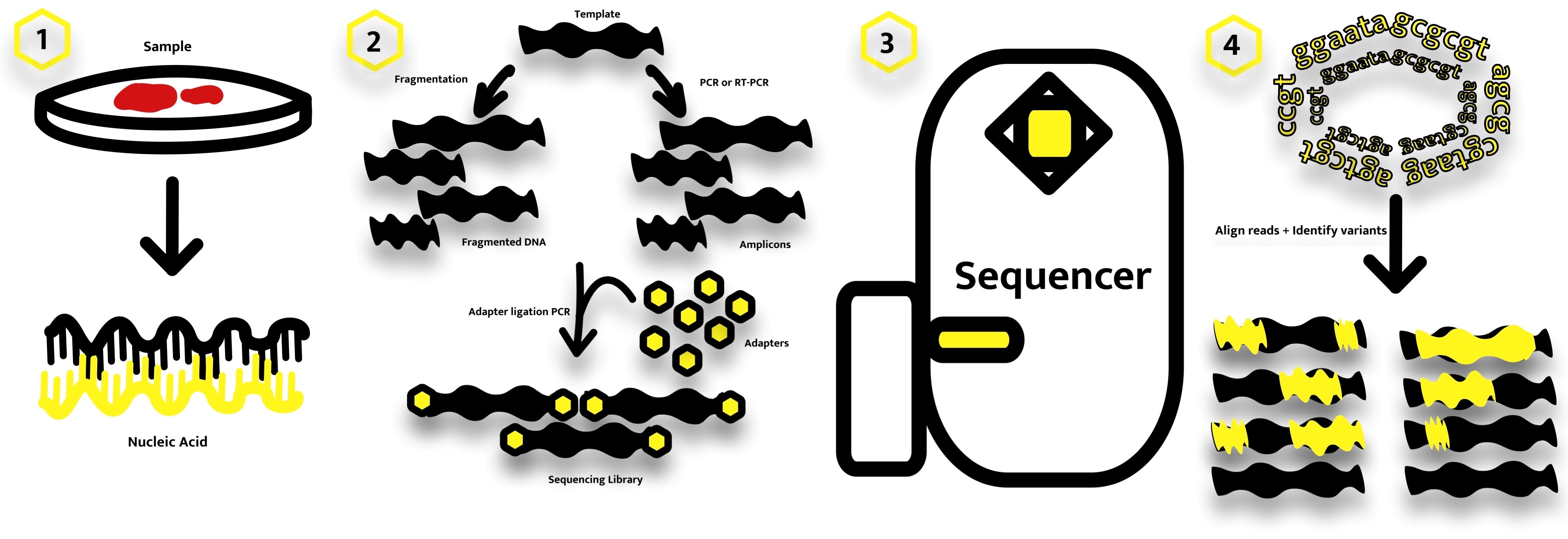 Nect-Generation Sequencing Diagram