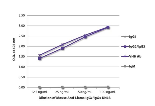 Anti-Llama Secondary Antibodies