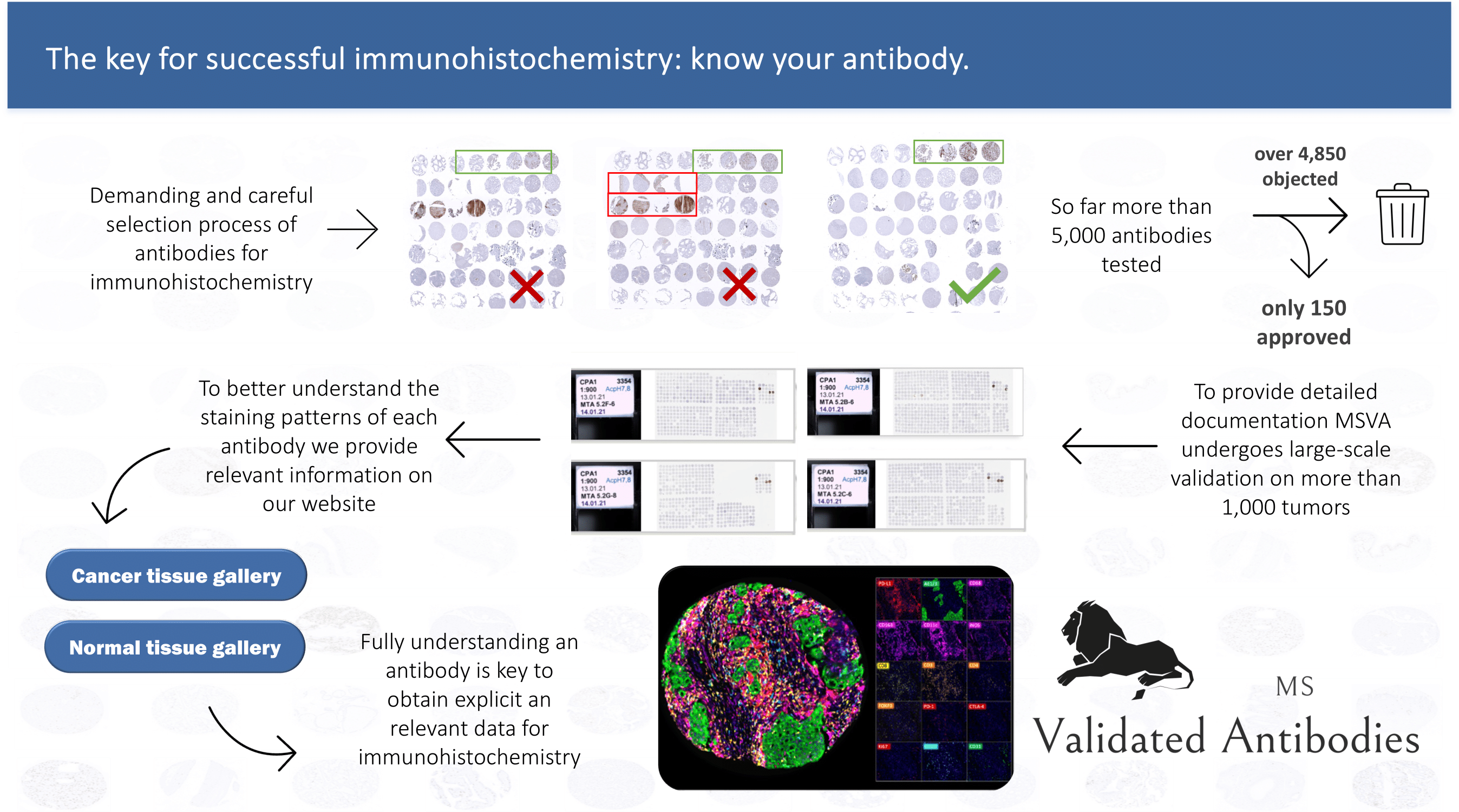 The key for successful immunohistochemistry