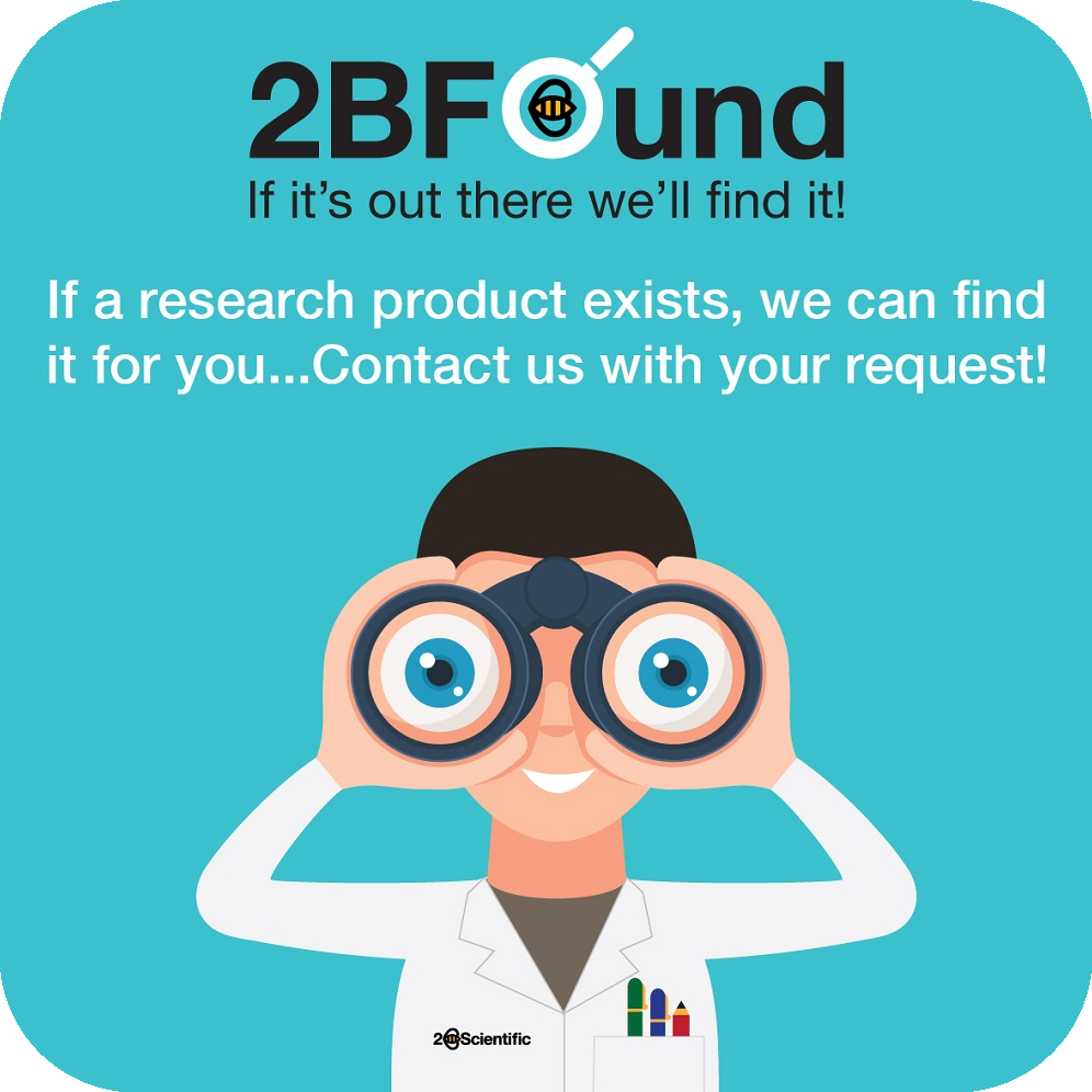 Our 2BFound Service