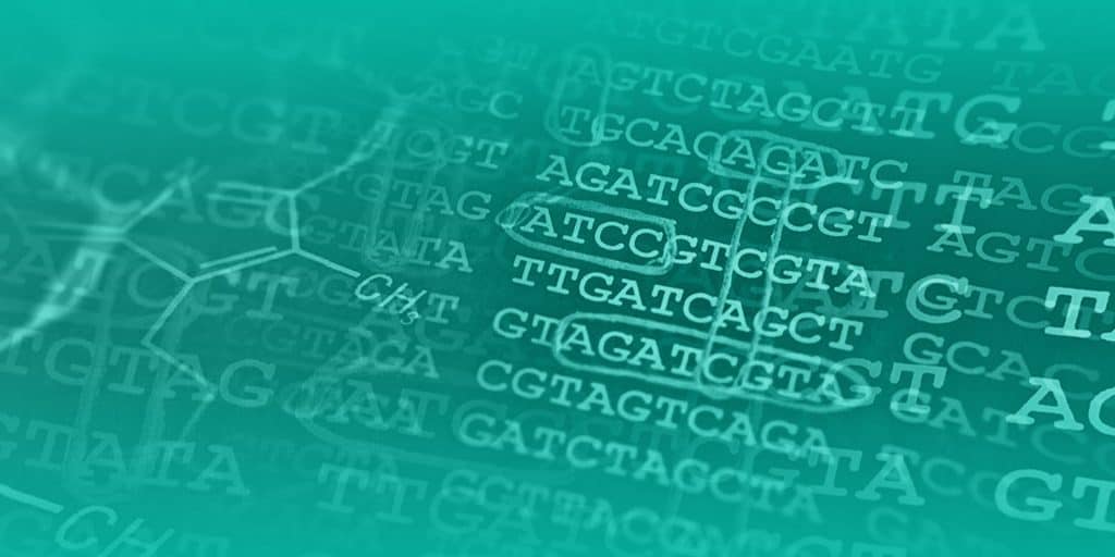 Why choose EpiMelt DNA methylation detection kits?