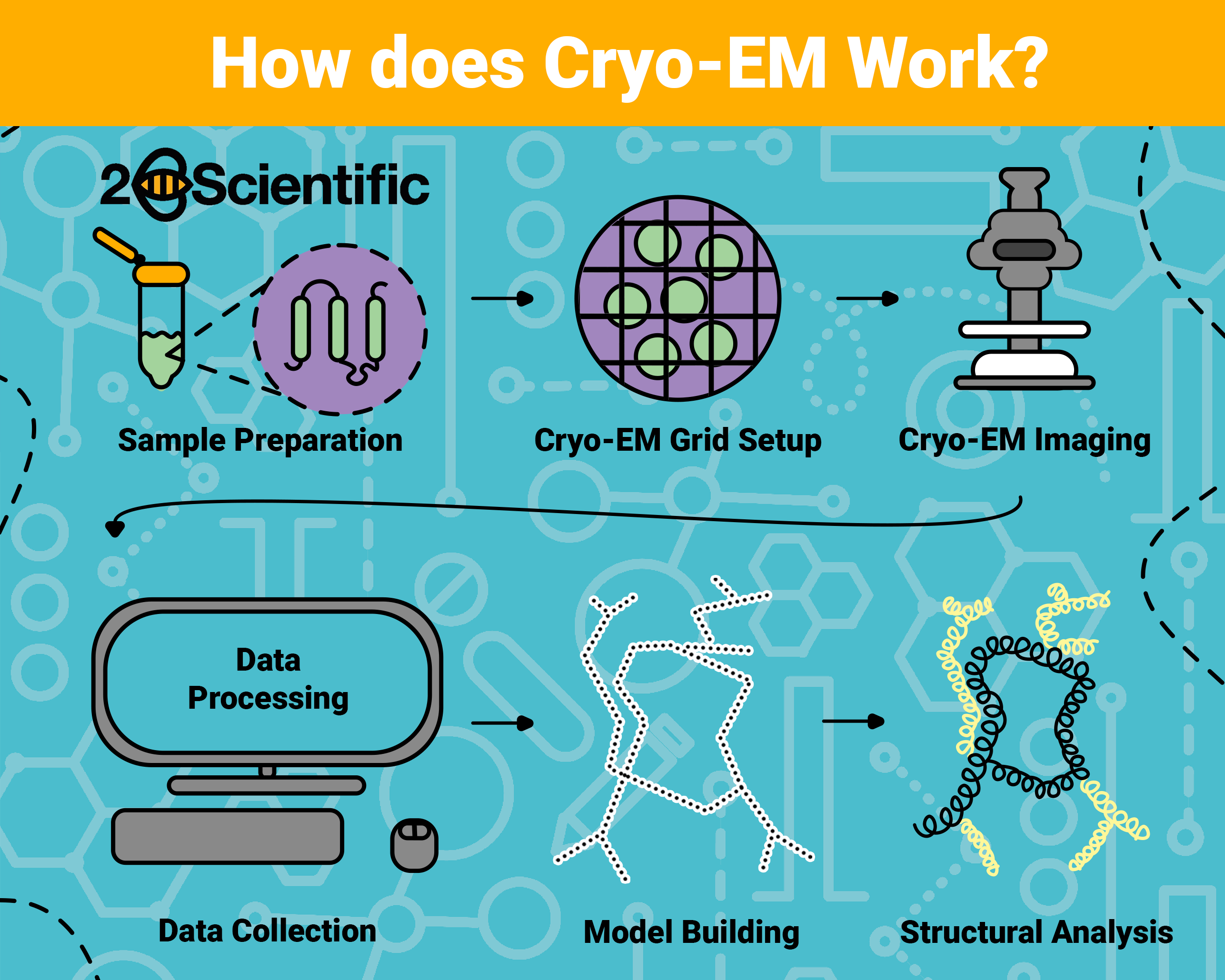 Cryo-EM