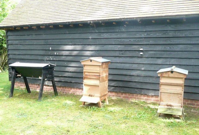 Bee Blog June