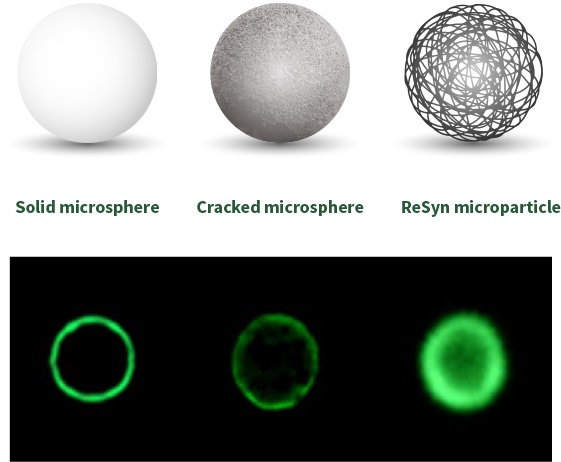 ReSyn Biosciences offer a wide range of magnetic beads to help enrich or purify biomolecules.