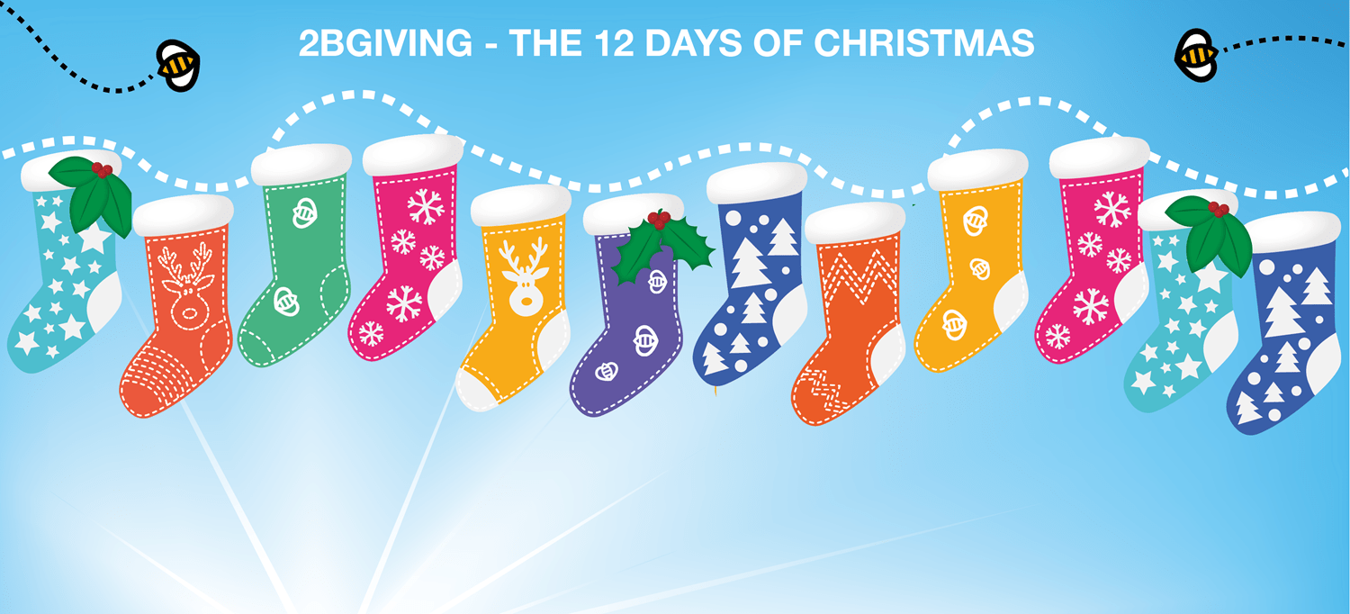 12 Days of Giving 2024