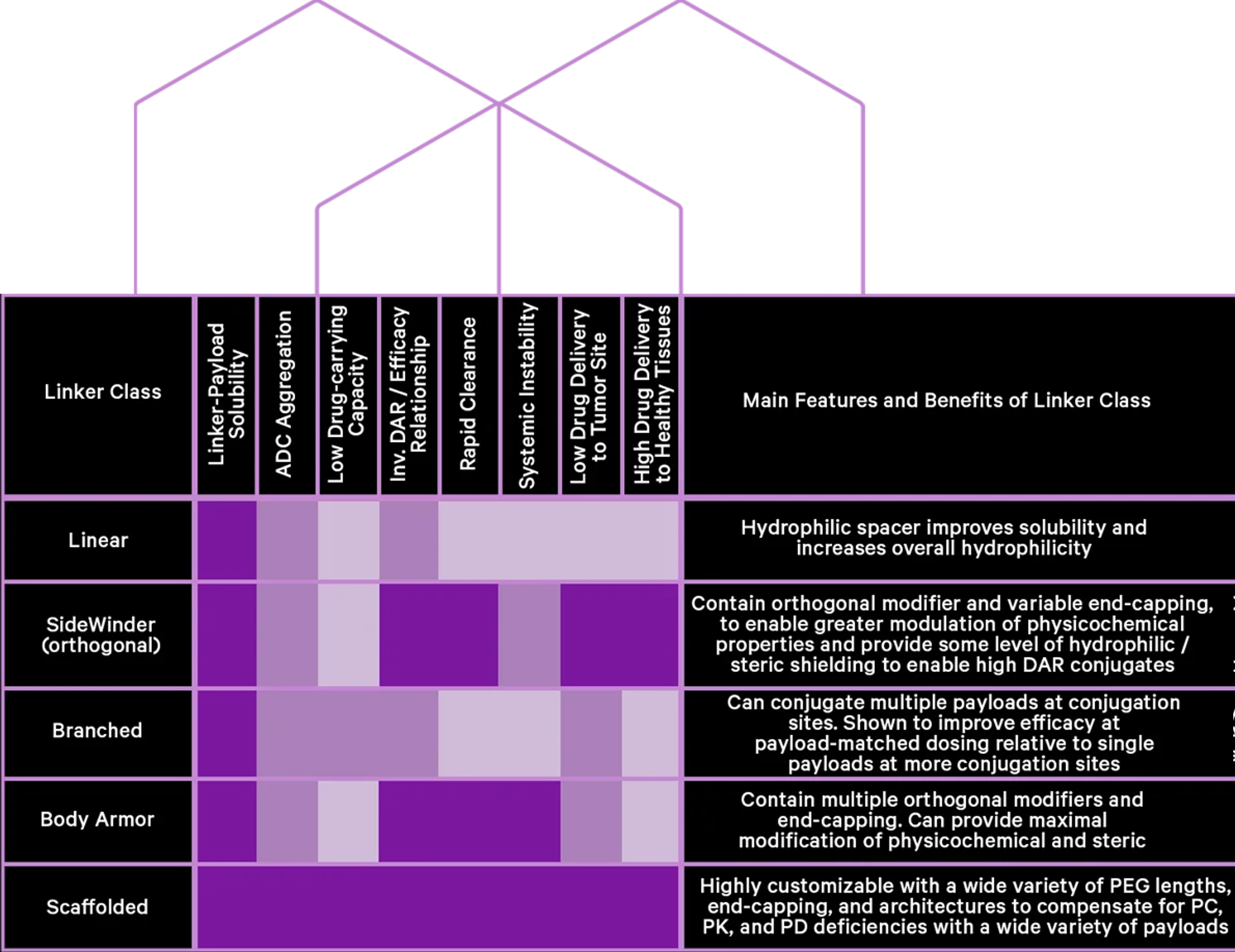 Find the missing link with Vector Laboratories!