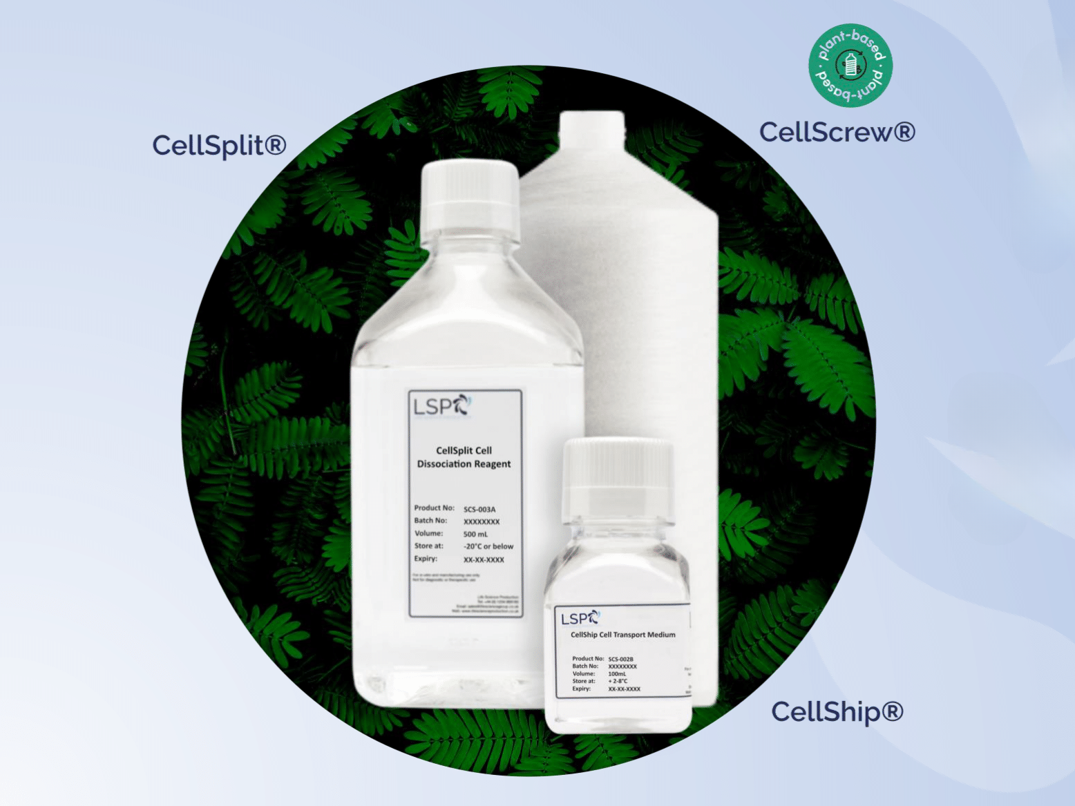 Xeno-Free Products Including CellSplit, CellShip and CellScrew