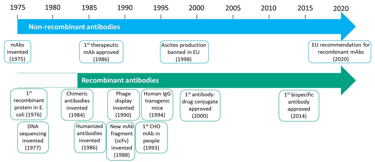 A timeline of the development of non-recombinant and recombinant antibodies showing critical milestones.