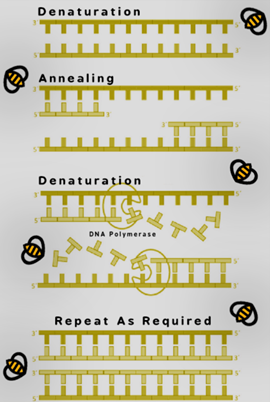 PCR mechanism