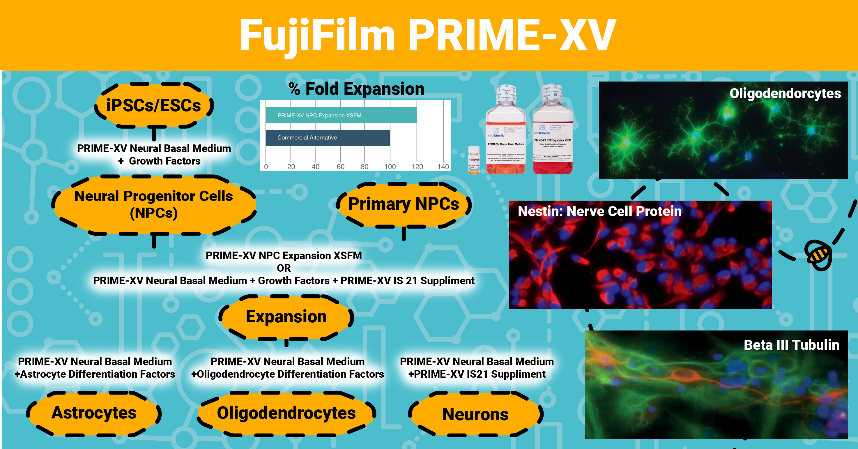 FujiFilm Irvine Scientific PRIME-XV