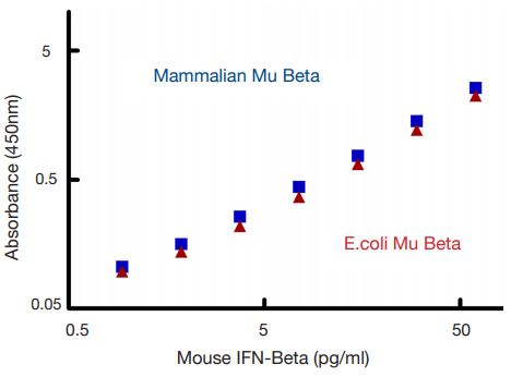 Comparison of ELISA Reactivity of Mammalian and E.coli-expressed Mouse IFN Beta. Sensitive detection of mammalian and E.coli expressed IFN-β.