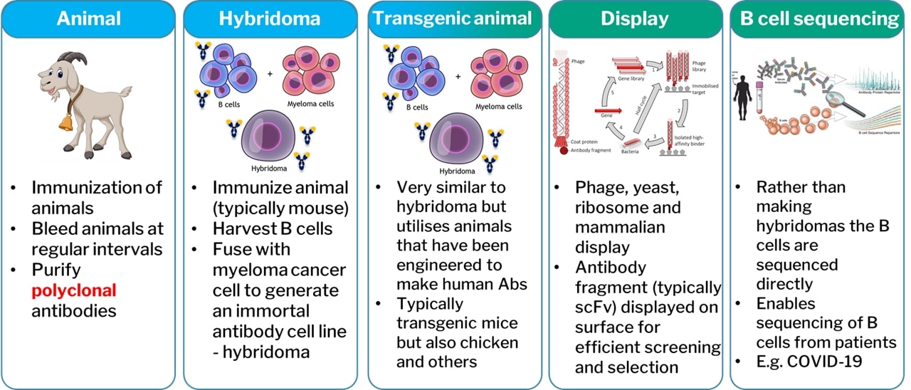 Overview of the five approaches to antibody discovery.