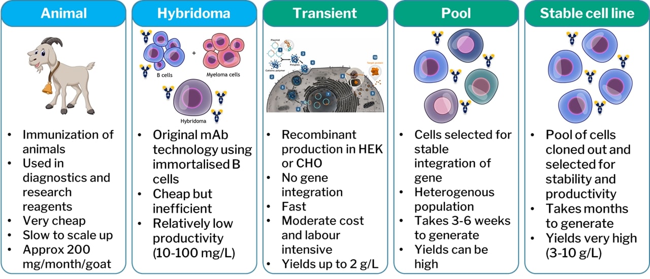 Overview of the five approaches to antibody manufacture.