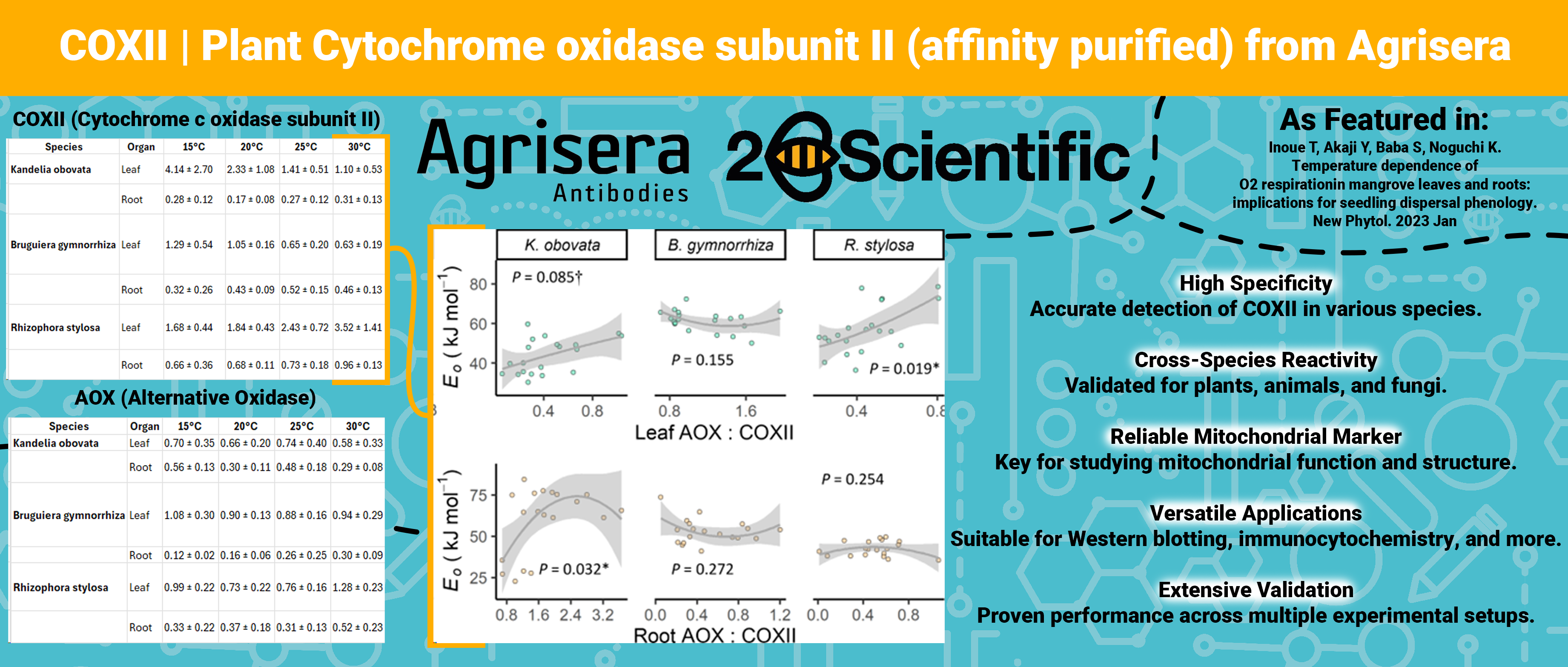 Agrisera COXII