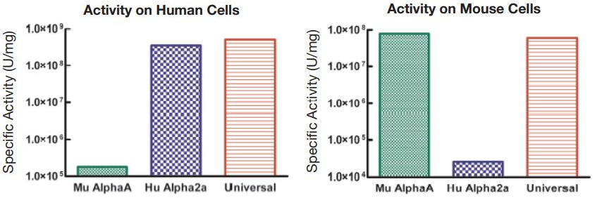 Comparison of the Activities of Universal Type I IFN, Human IFN Alpha 2a, and Mouse IFN Alpha A
