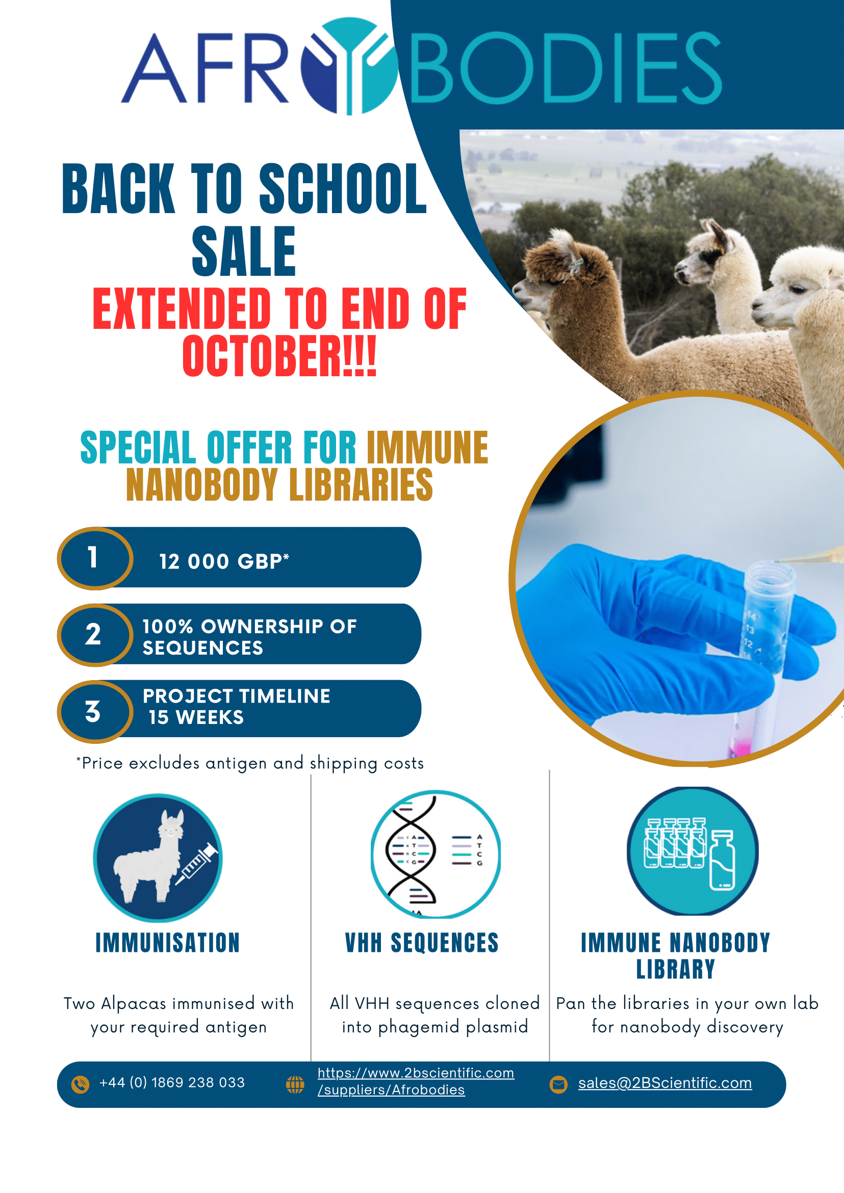 Afrobodies' Back to School Sale - now extended for October!