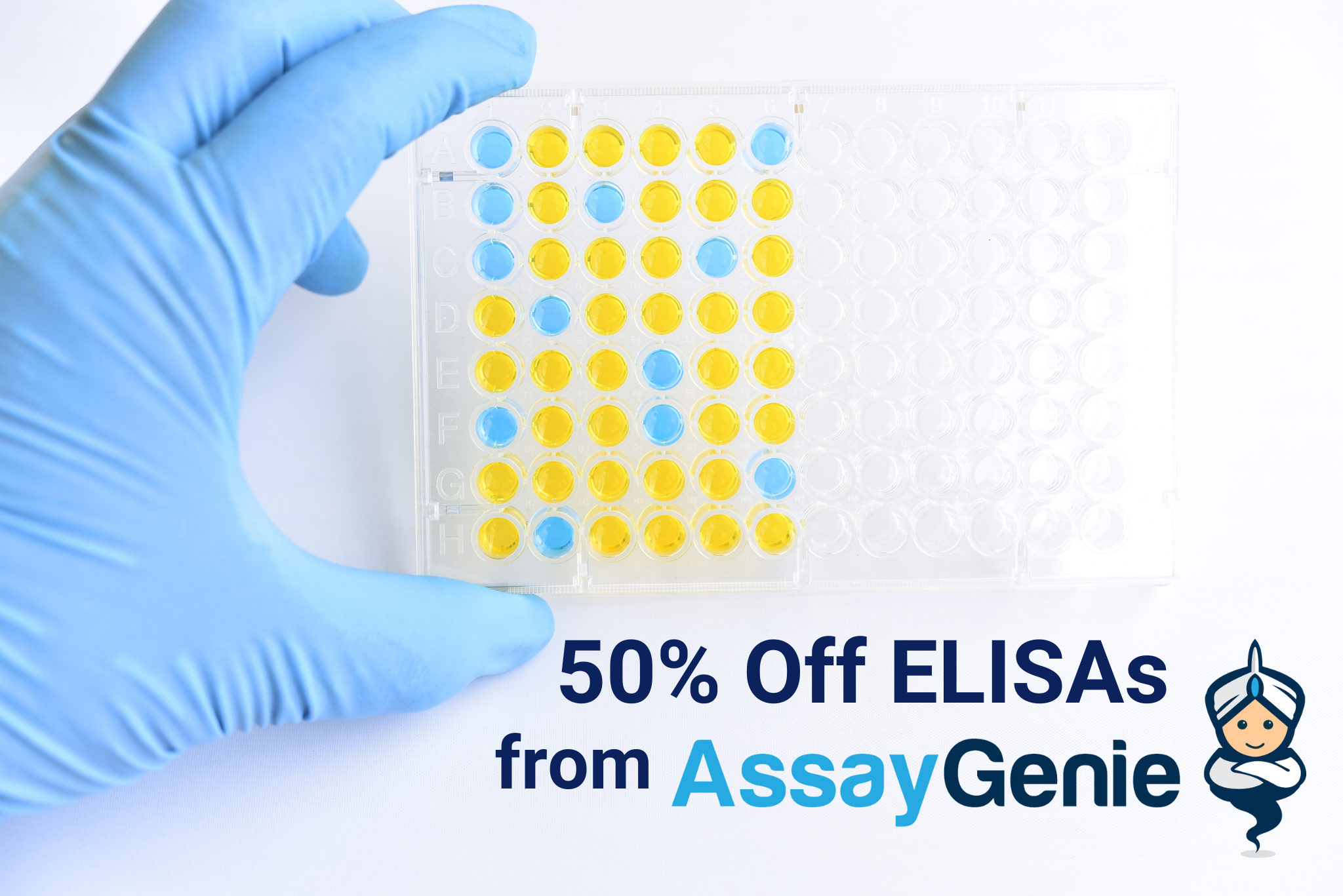 50-Off-Assay-Genie-ELISAs