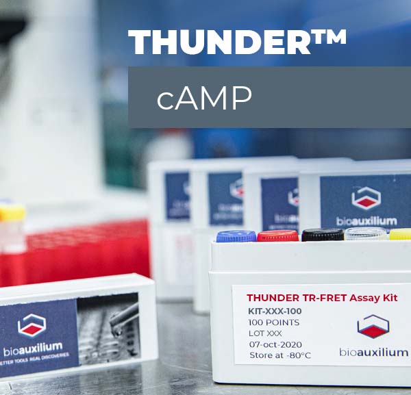 Thunder cAMP