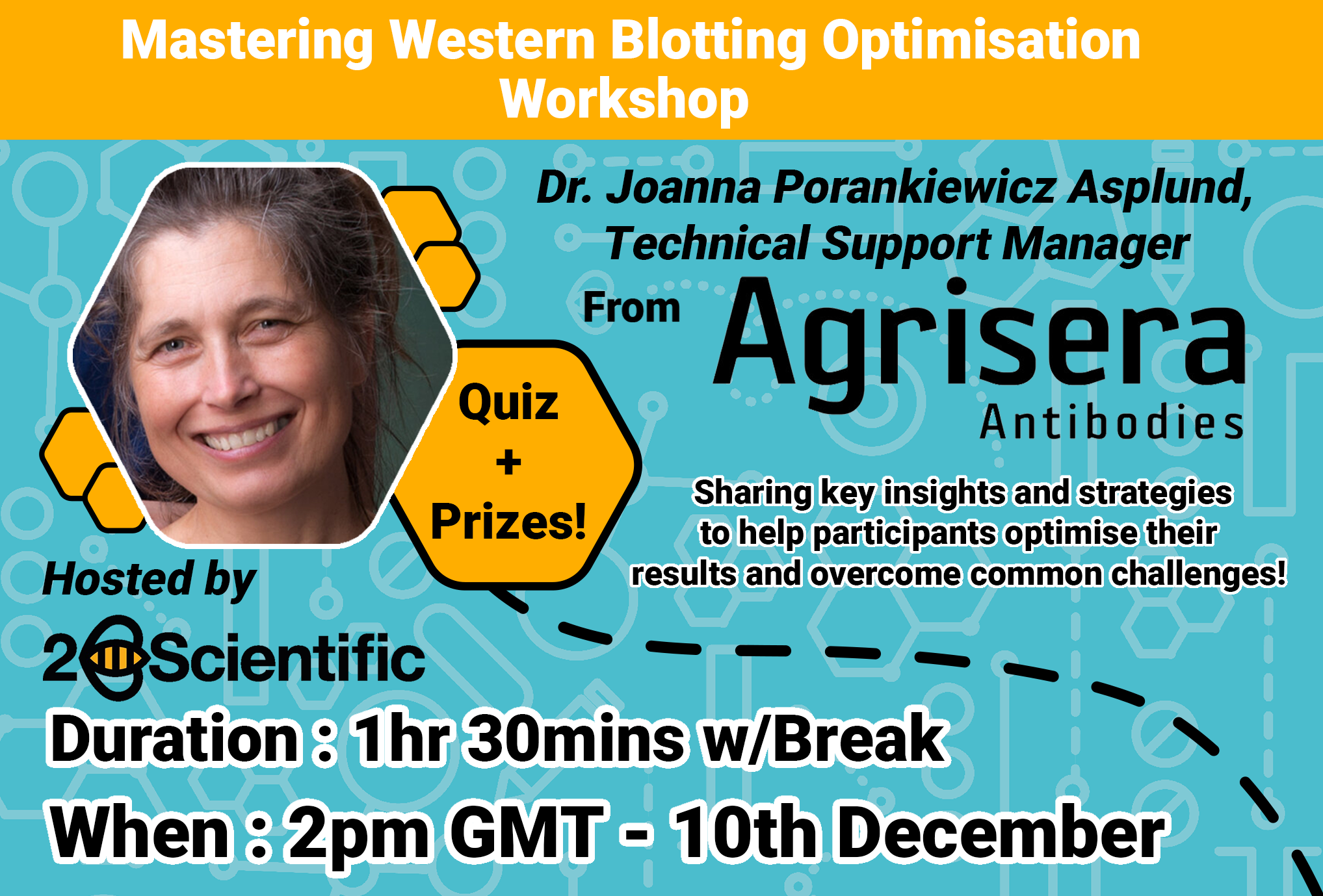 Mastering Western Blotting Optimisation: Expert Tips and Techniques for Superior Results