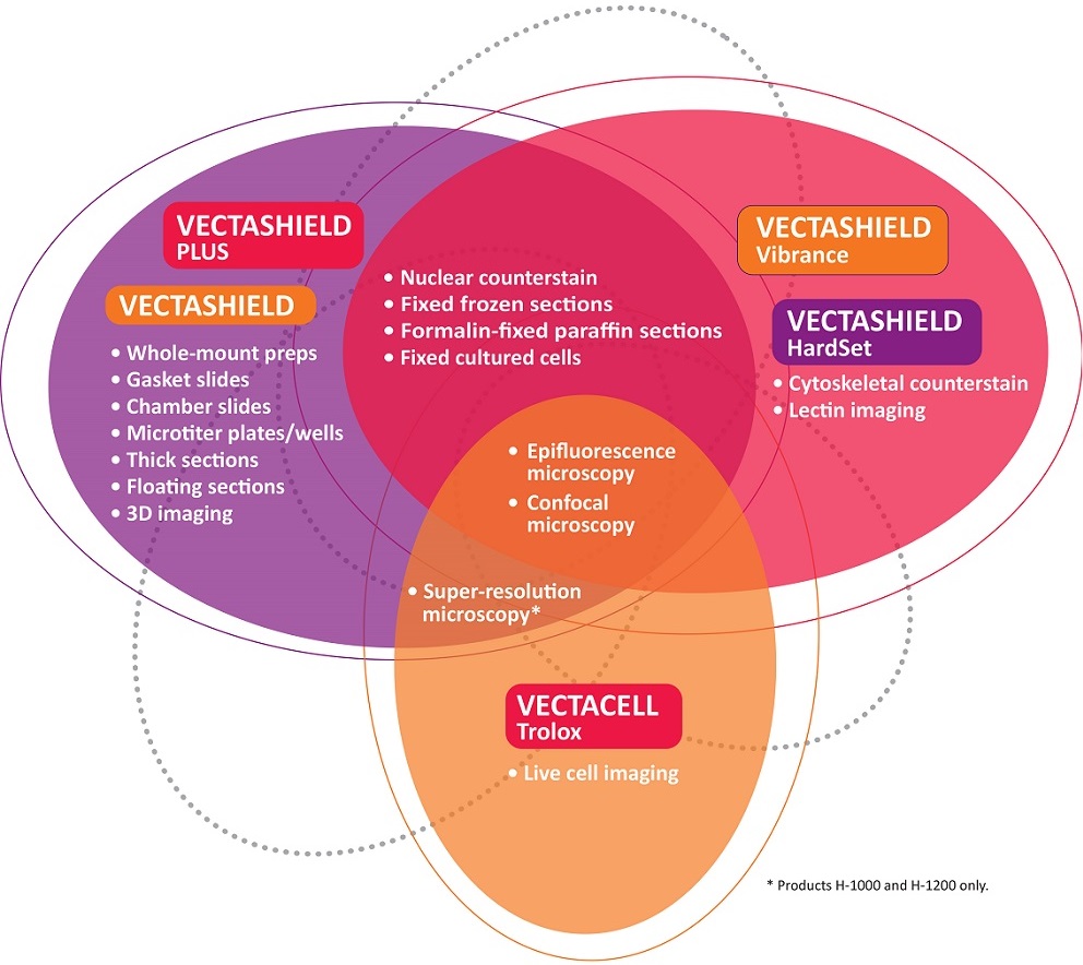 VECTASHIELD Applications