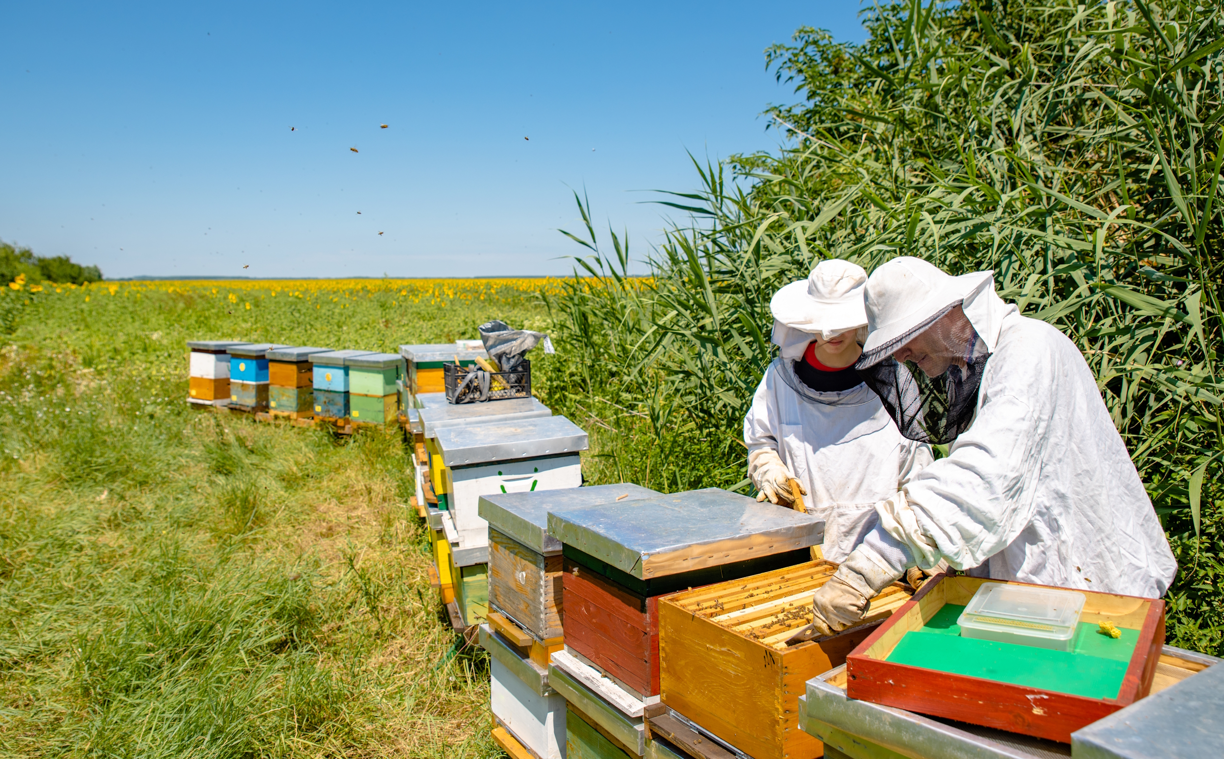 We are a proud supporter of the British Beekeepers Association